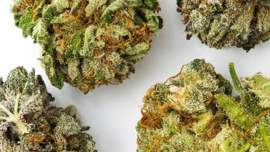 Che effetto fa la cannabis light?