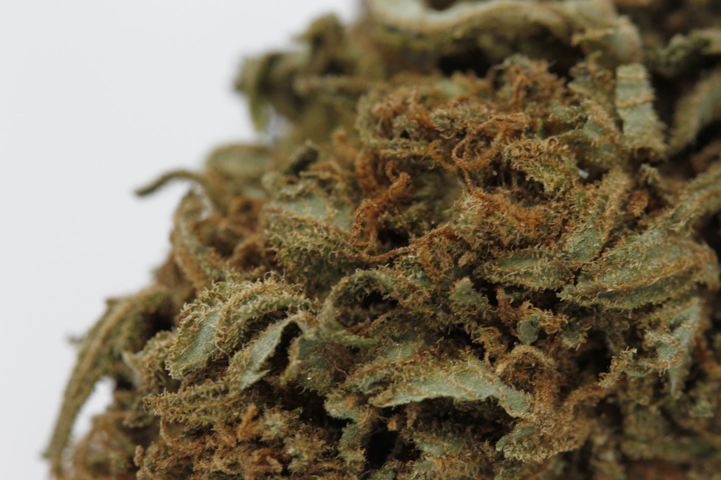 Amnesia Haze