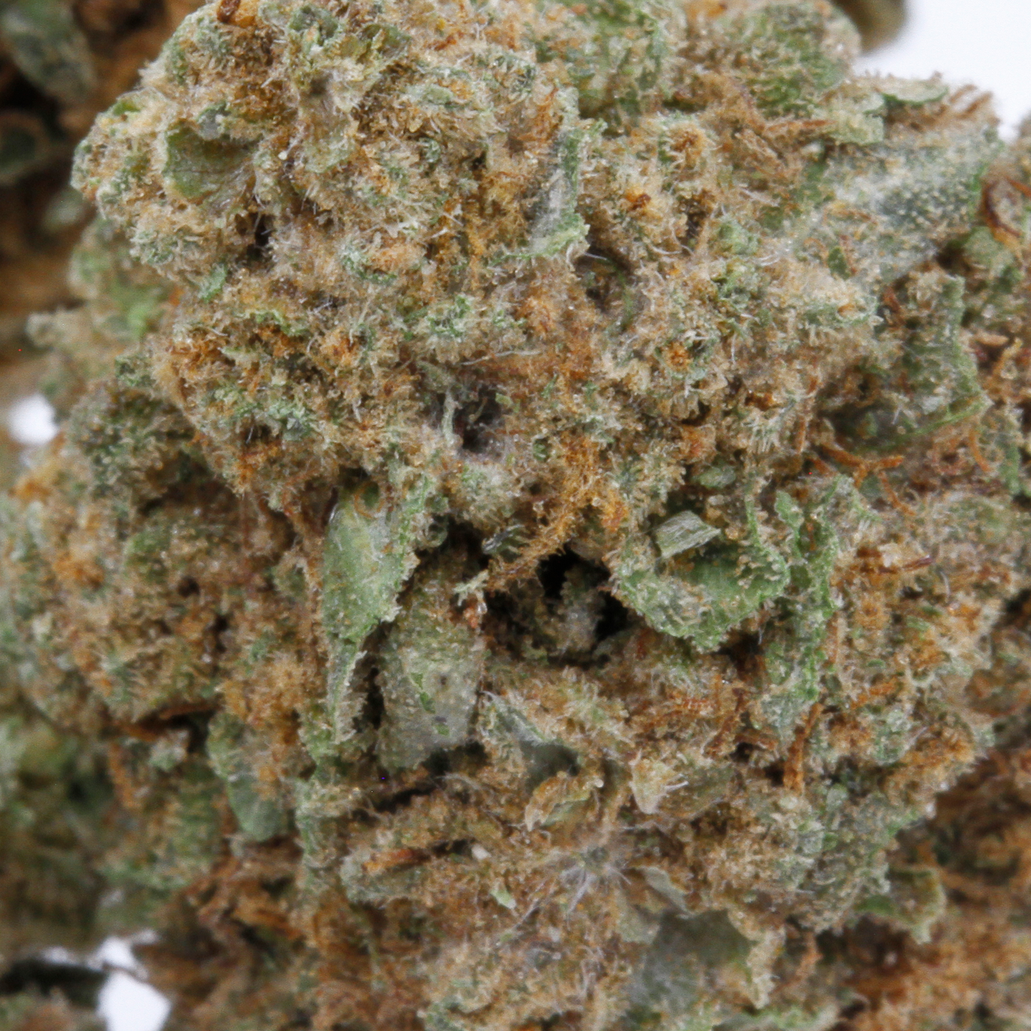 Cannatonic