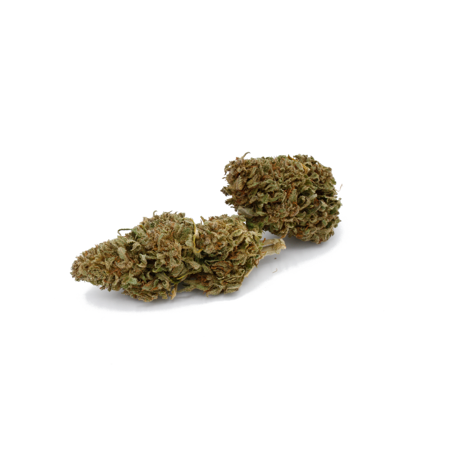 Sweet Mandarine