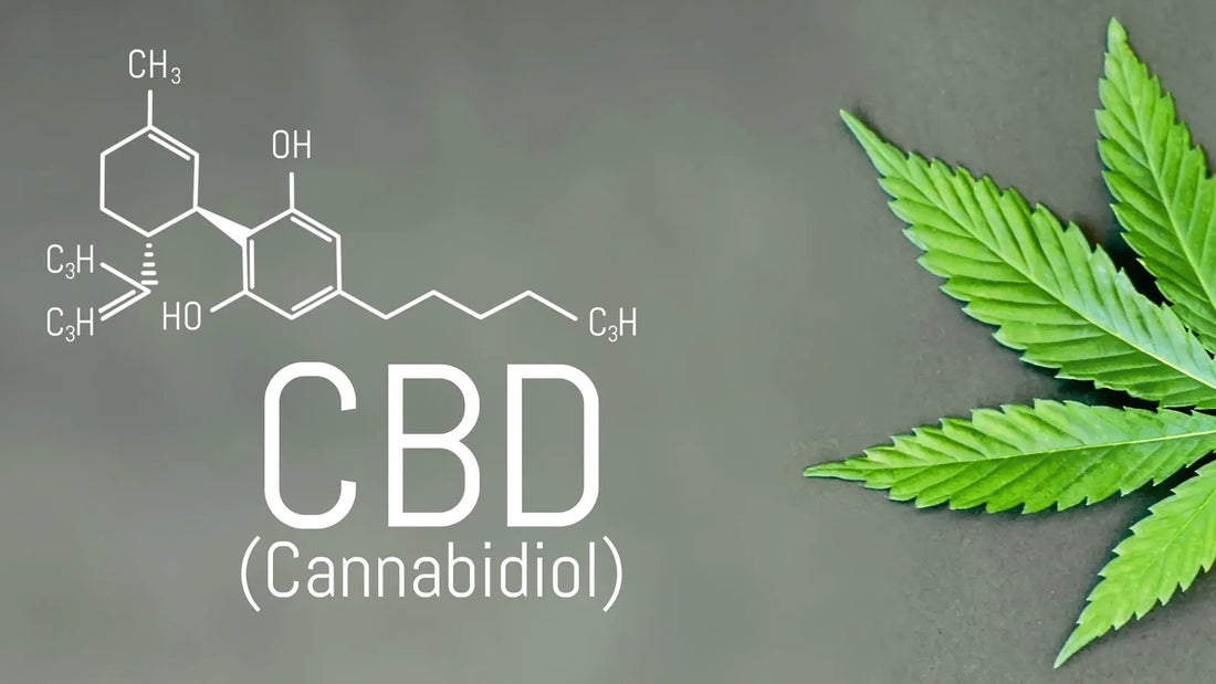 Come agisce il CBD sull'ansia?